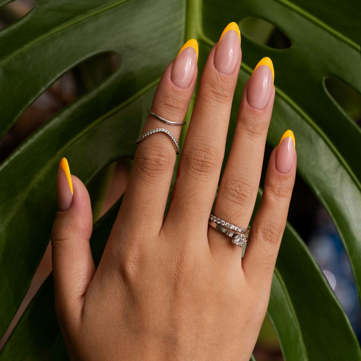 woman-showing-her-nail-art-fingernails-against-monster-leaf